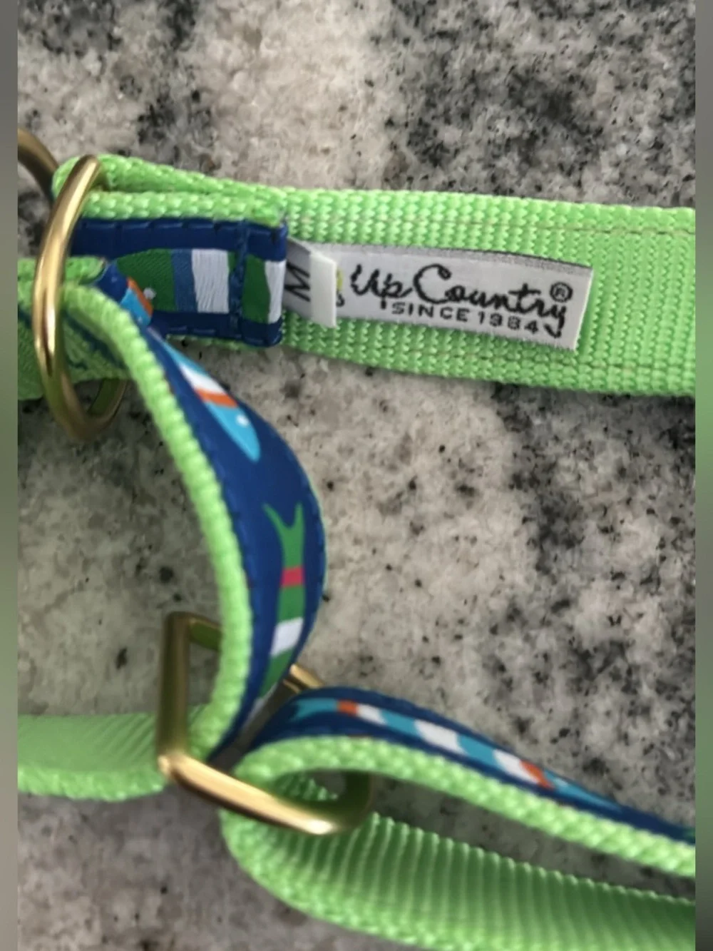 Martingale Green with Blue Patterned Dog Collar